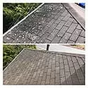 Roof cleaning  24